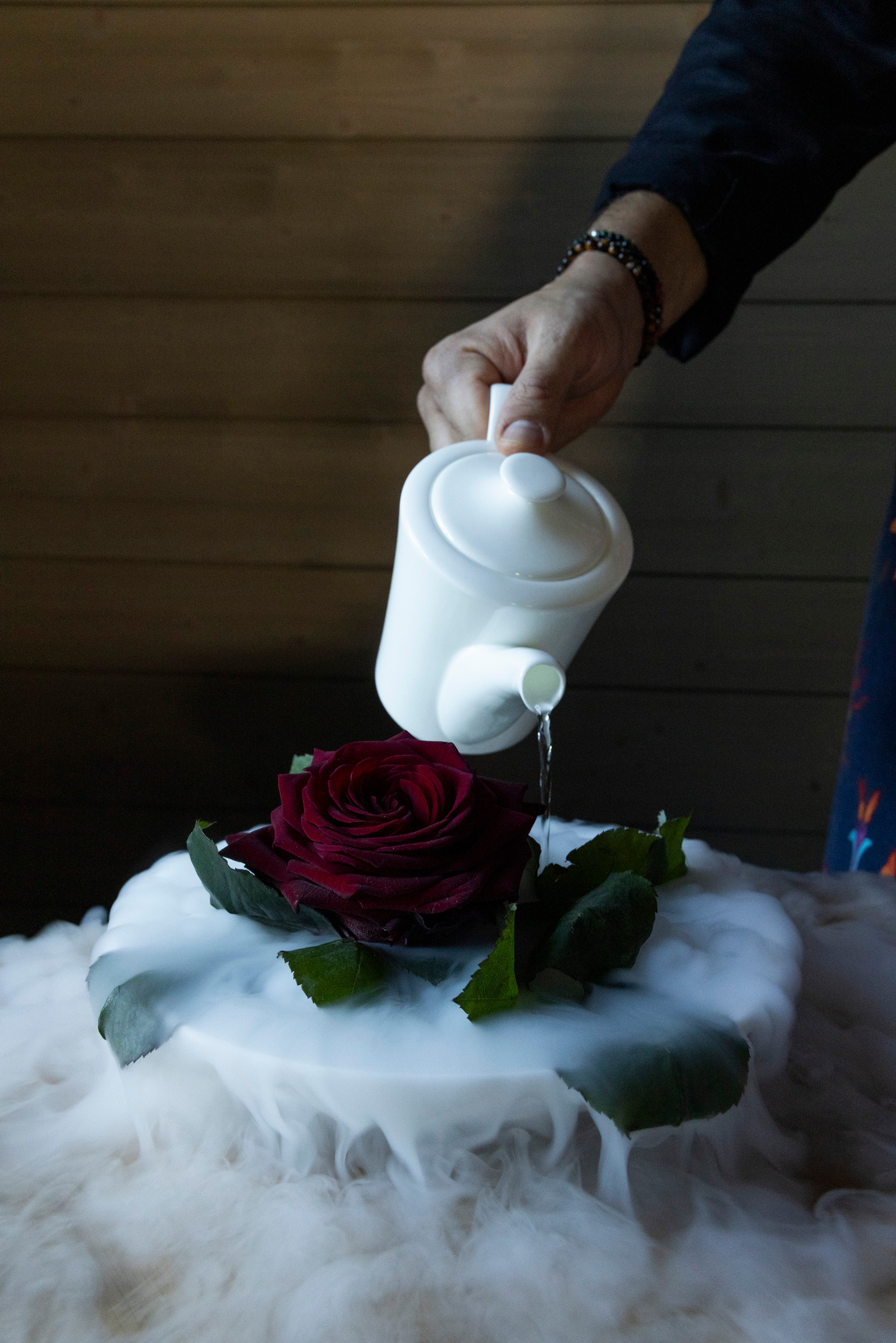 Dramatische Rosen-Präsentation mit Trockeneis